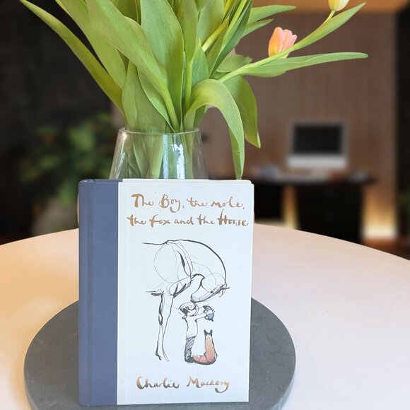 The Boy, The Mole, The Fox and The Horse Hardcover by Charlie Mackesy - Picture 1 of 4